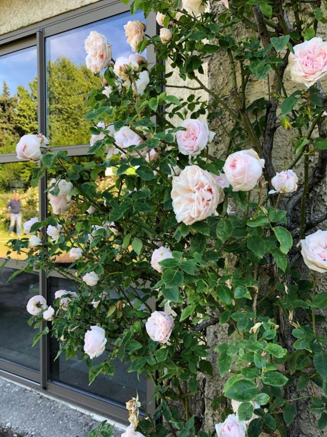 Lulu En Provence Bed & Breakfast L'Isle-sur-la-Sorgue Exterior photo